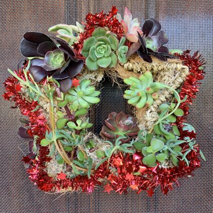 Succulent wreath $45-Made to order