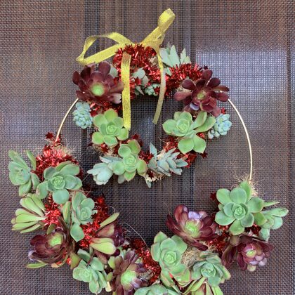 Succulent wreath $45-Made to order