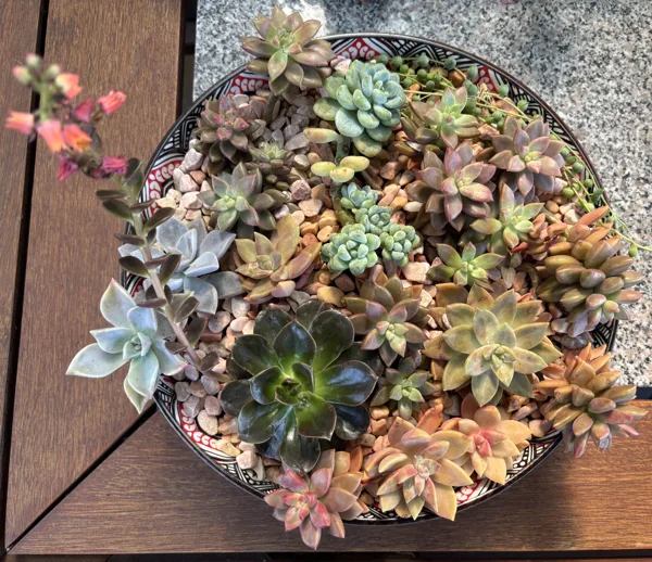 $35 -Table centrepiece