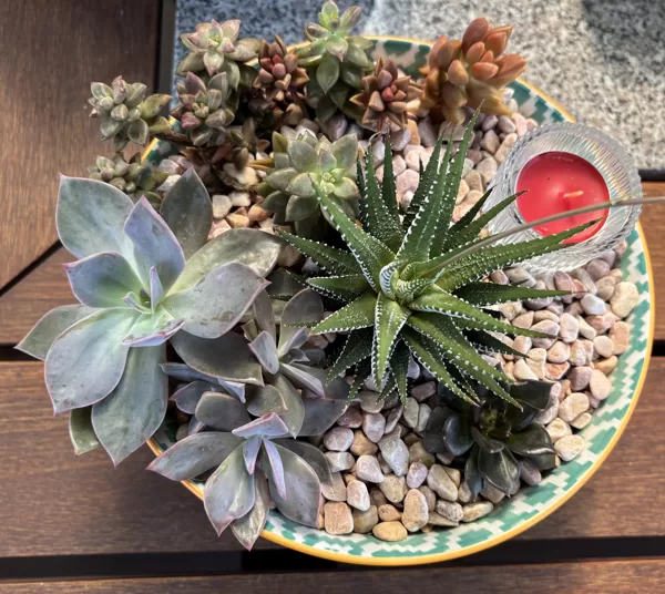 $35- Table centrepiece
