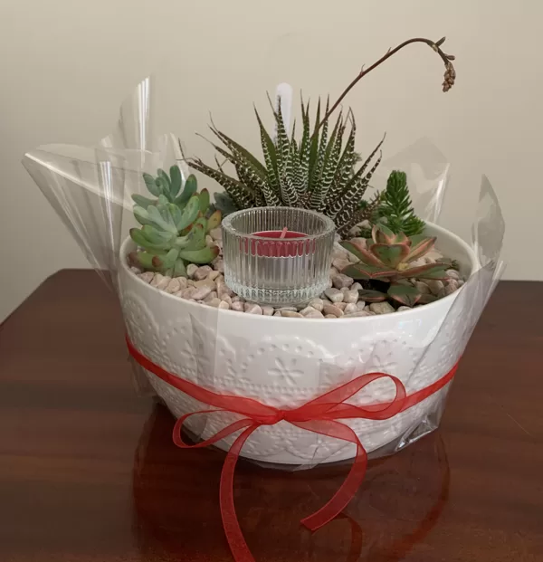 $30 each -Sample only
