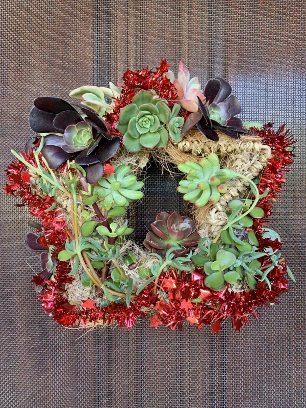 Succulent wreath (sample only) 