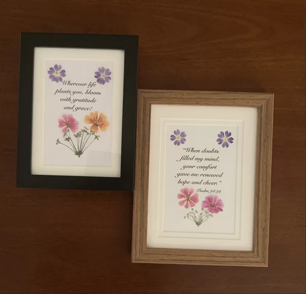  $25 each-Sample only